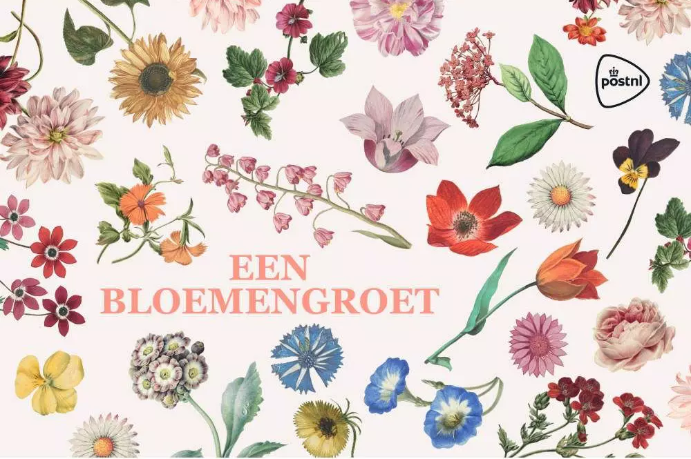 Feuillet de timbres hollandais sur des fleurs