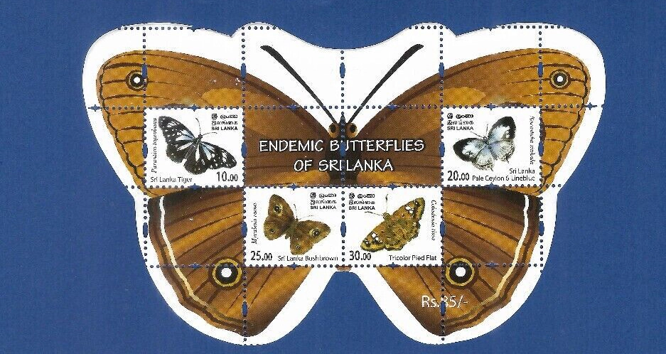 Papillons Sri Lankais