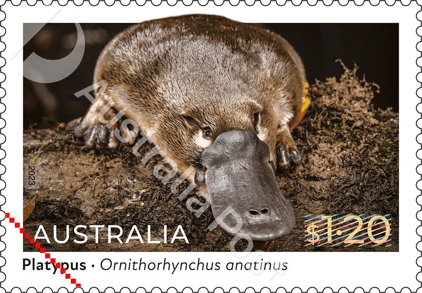 Timbre australien 2022 Ornithorynque