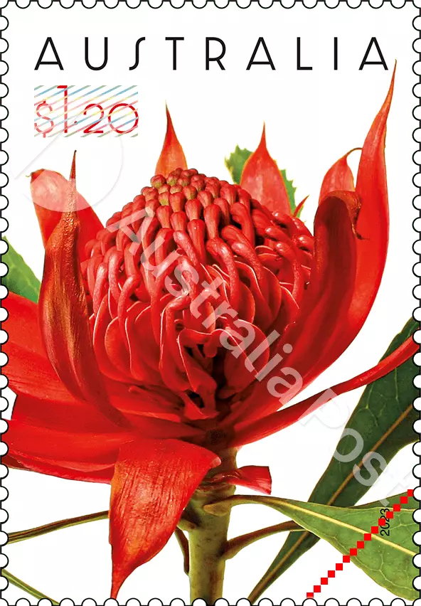 Timbre australien 2023 Fleur waratah