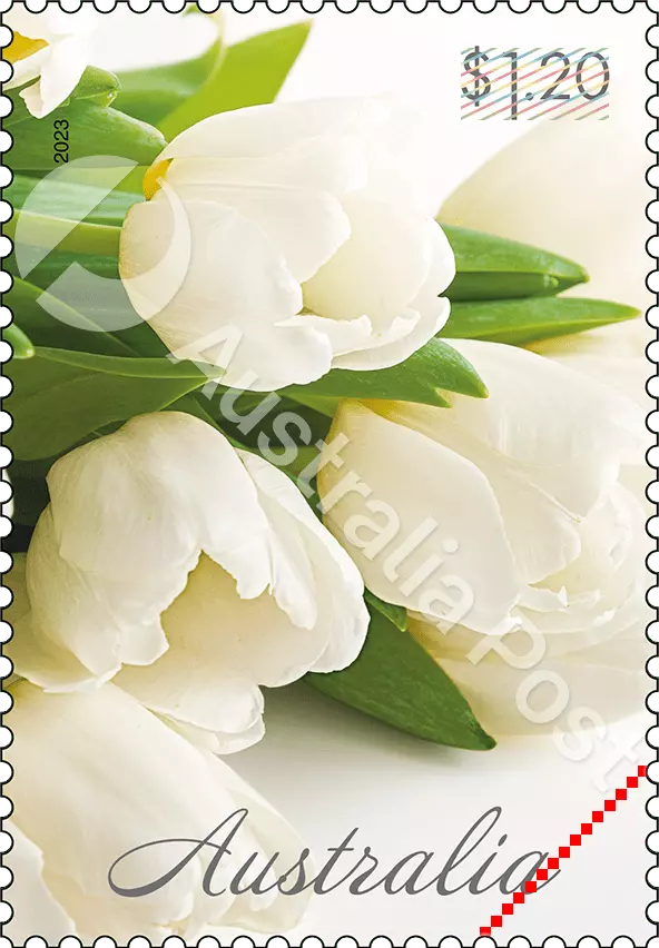 Timbre australien 2023 Tulipes blanches