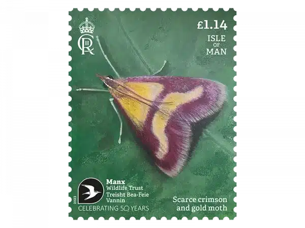 Timbre Ile de Man 2023 Papillon de nuit