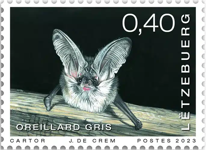 Timbre Luxembourg 2023 Oreillard gris