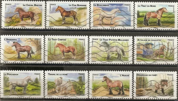 Timbres autoadhésifs 2013 Chevaux