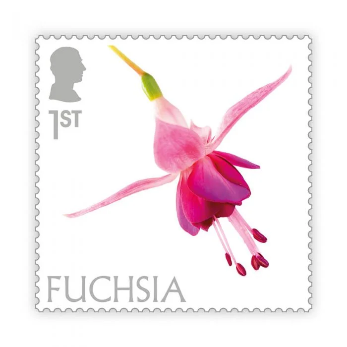 Timbre anglais 2023 Fuchsia
