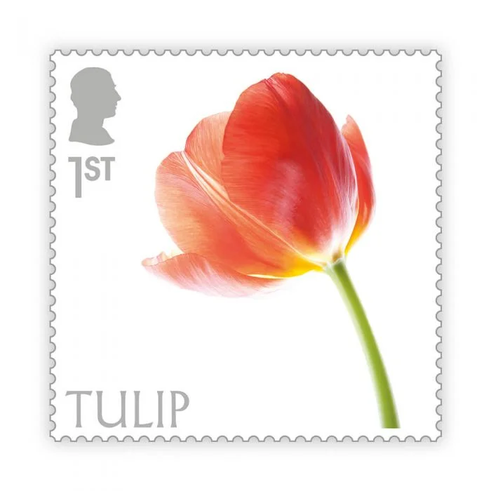 Timbre anglais 2023 Tulipe