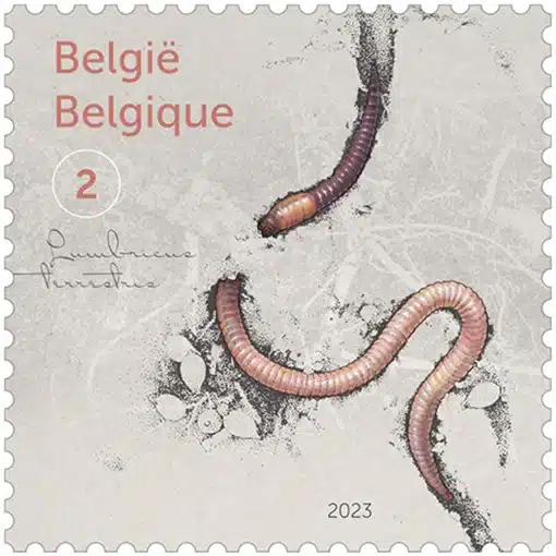 Timbre belge 2023 Ver de terre commun