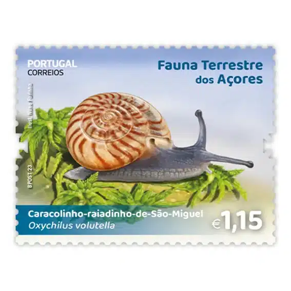 Timbre portugais 2023 Escargot des Açores