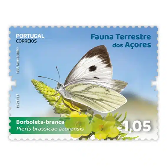 Faune terrestre des Açores