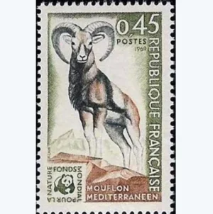 Timbre français 1969 Mouflon YT 1613**