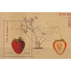 Feuillet français 2011 Fraise YT F 4535**