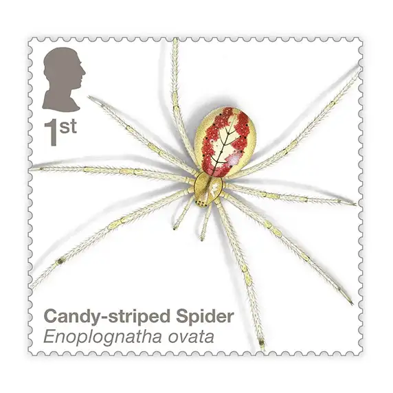 Timbre anglais 2024 Candy stiped Spider