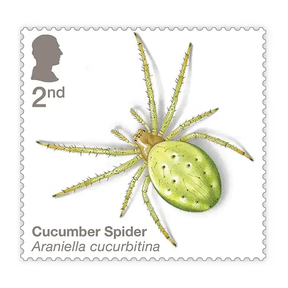 Timbre anglais 2024 Cucumber Spider