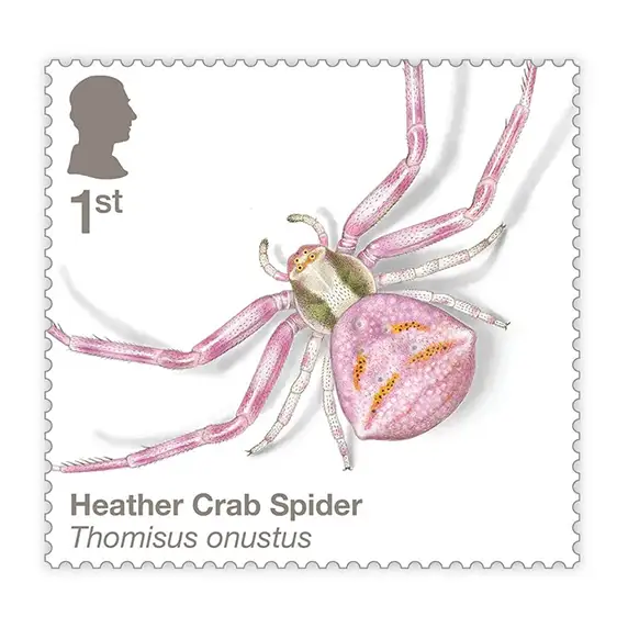 Timbre anglais 2024 Heather crab Spider