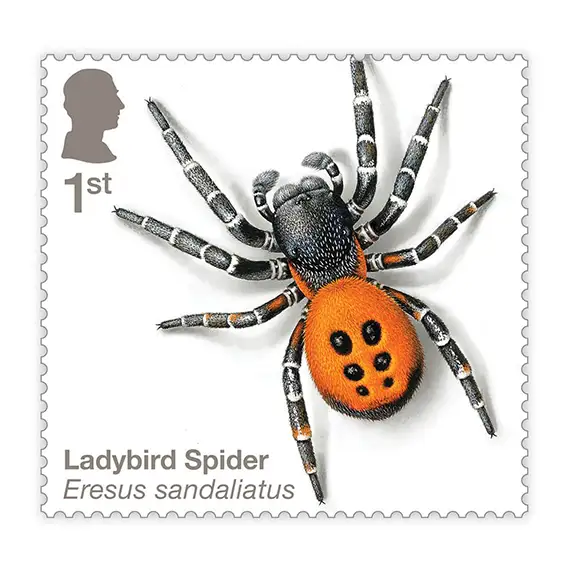 Timbre anglais 2024 Ladybird Spider