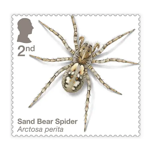 Timbre anglais 2024 Sand Bear Spider