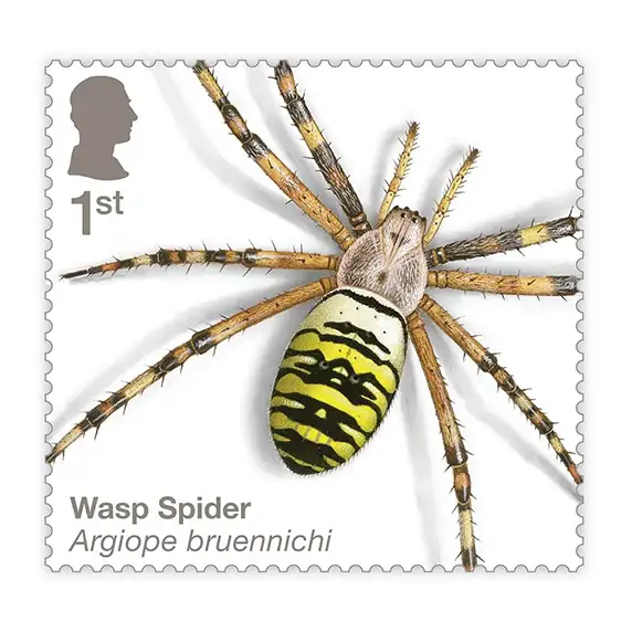 Timbre anglais 2024 Wasp Spider