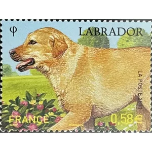 Timbre français 2011 Labrador YT 4545**