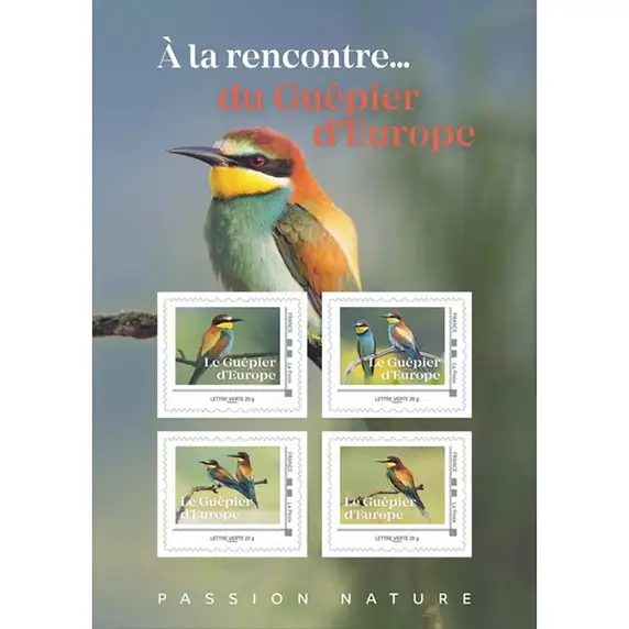 Collector français 2026 Guêpier d’Europe